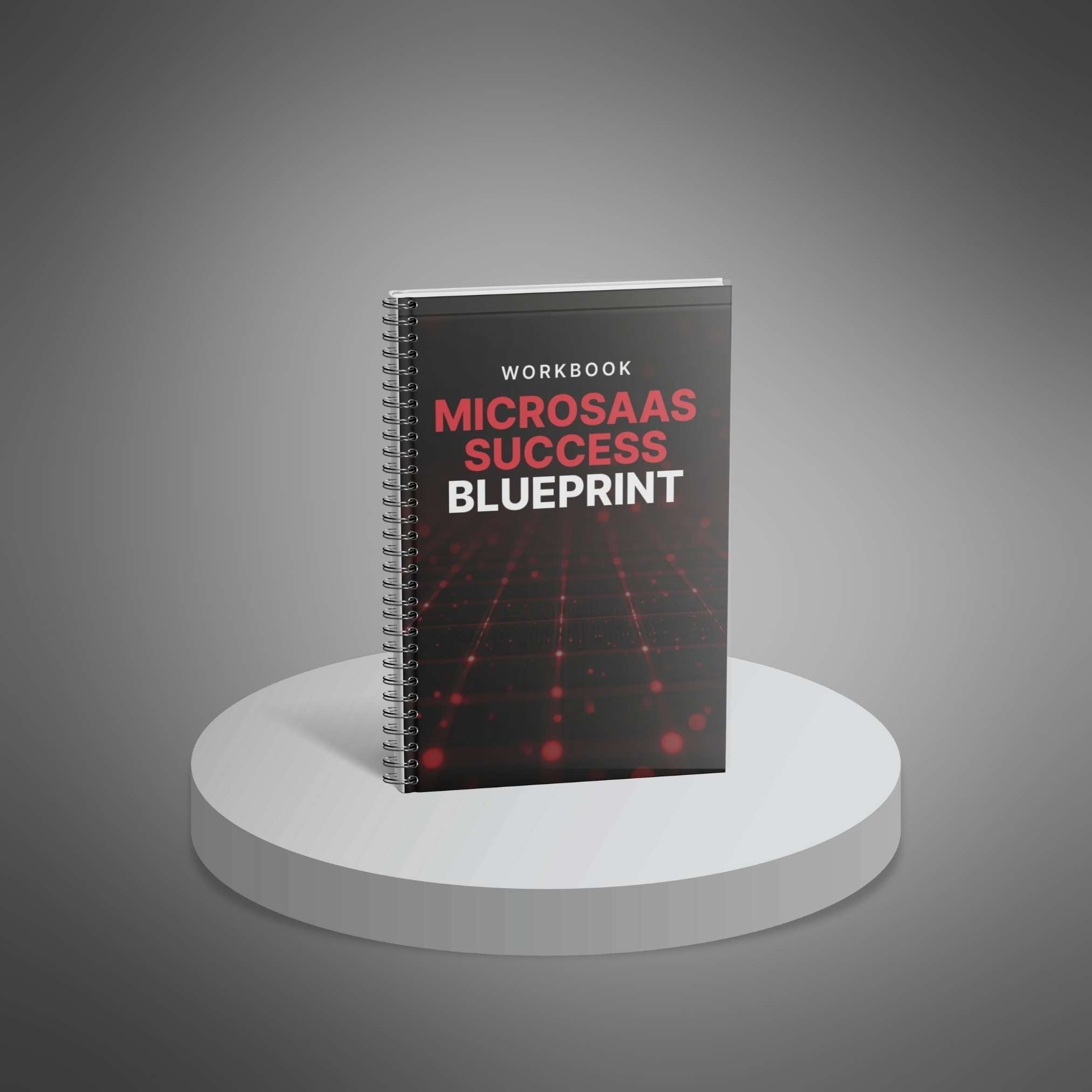 MicroSaaS success blueprint for entrepreneurs.
