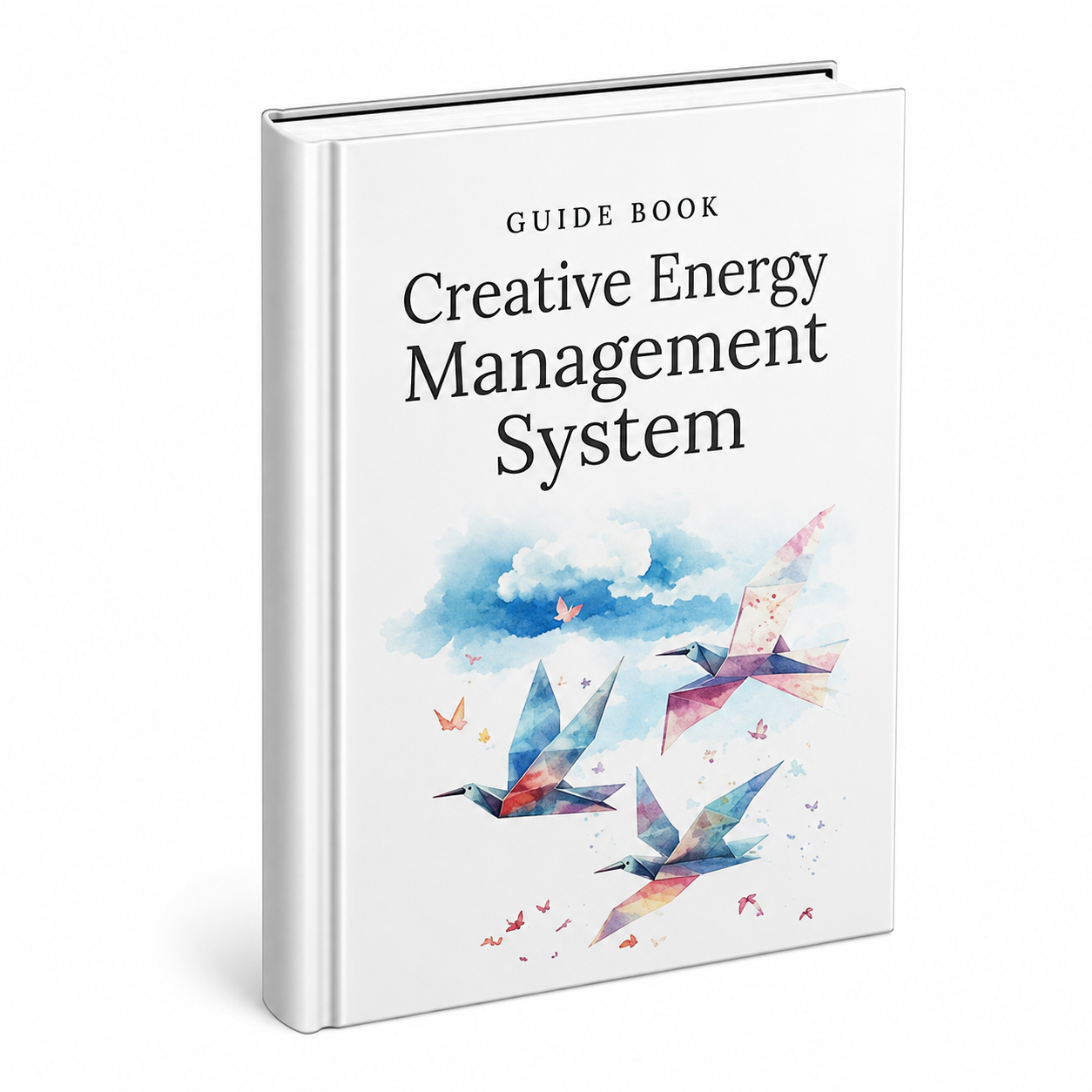 The Creative Energy Management System