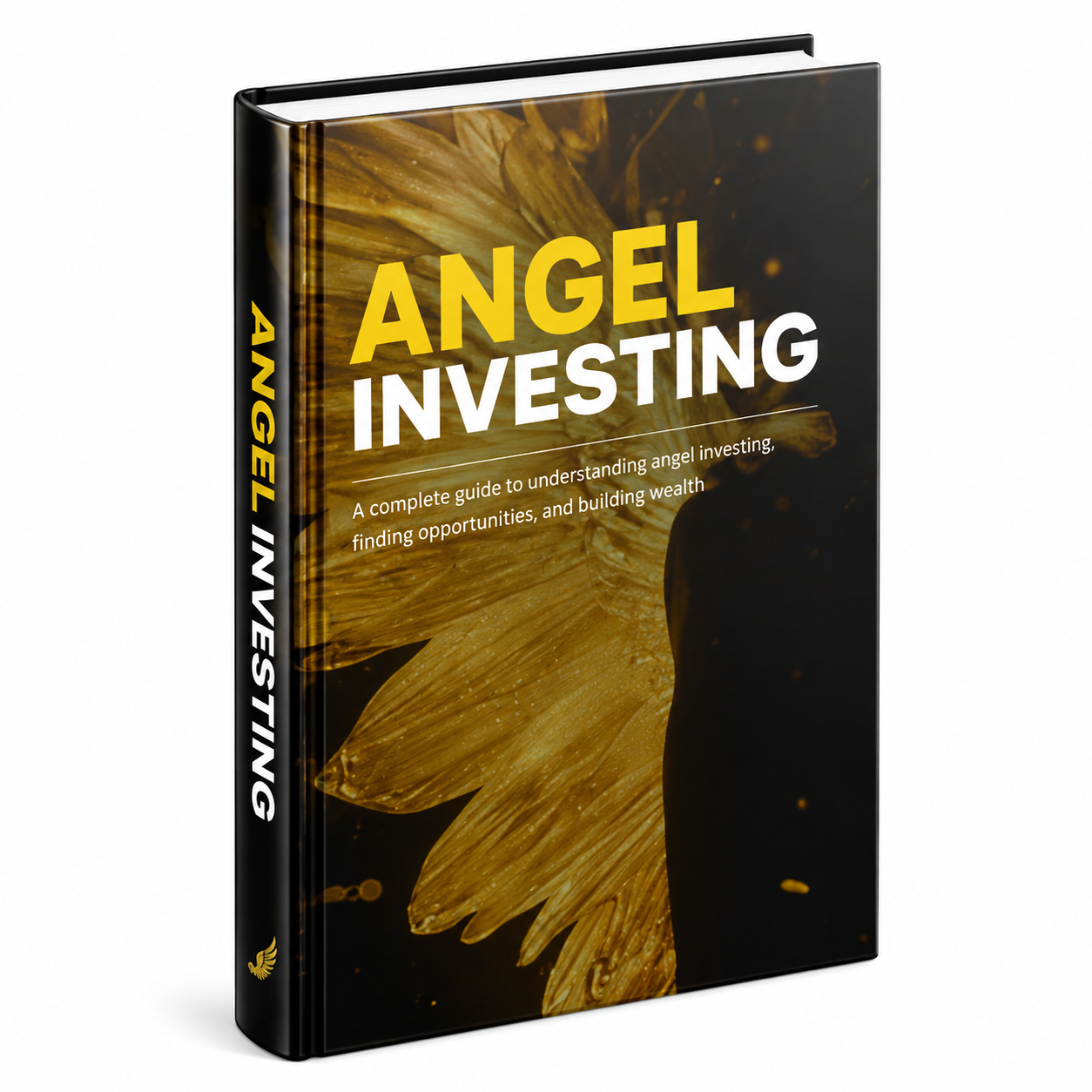Angel Investing ebook & guide cover
