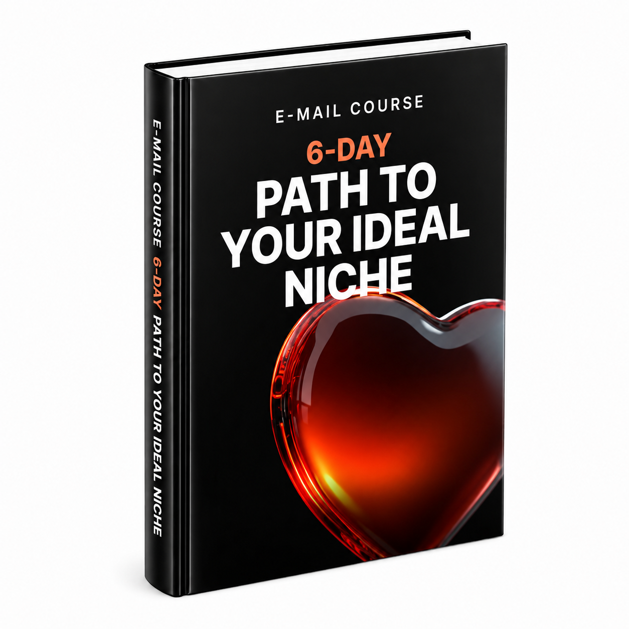 6-Day Path to Your Ideal Niche guide cover