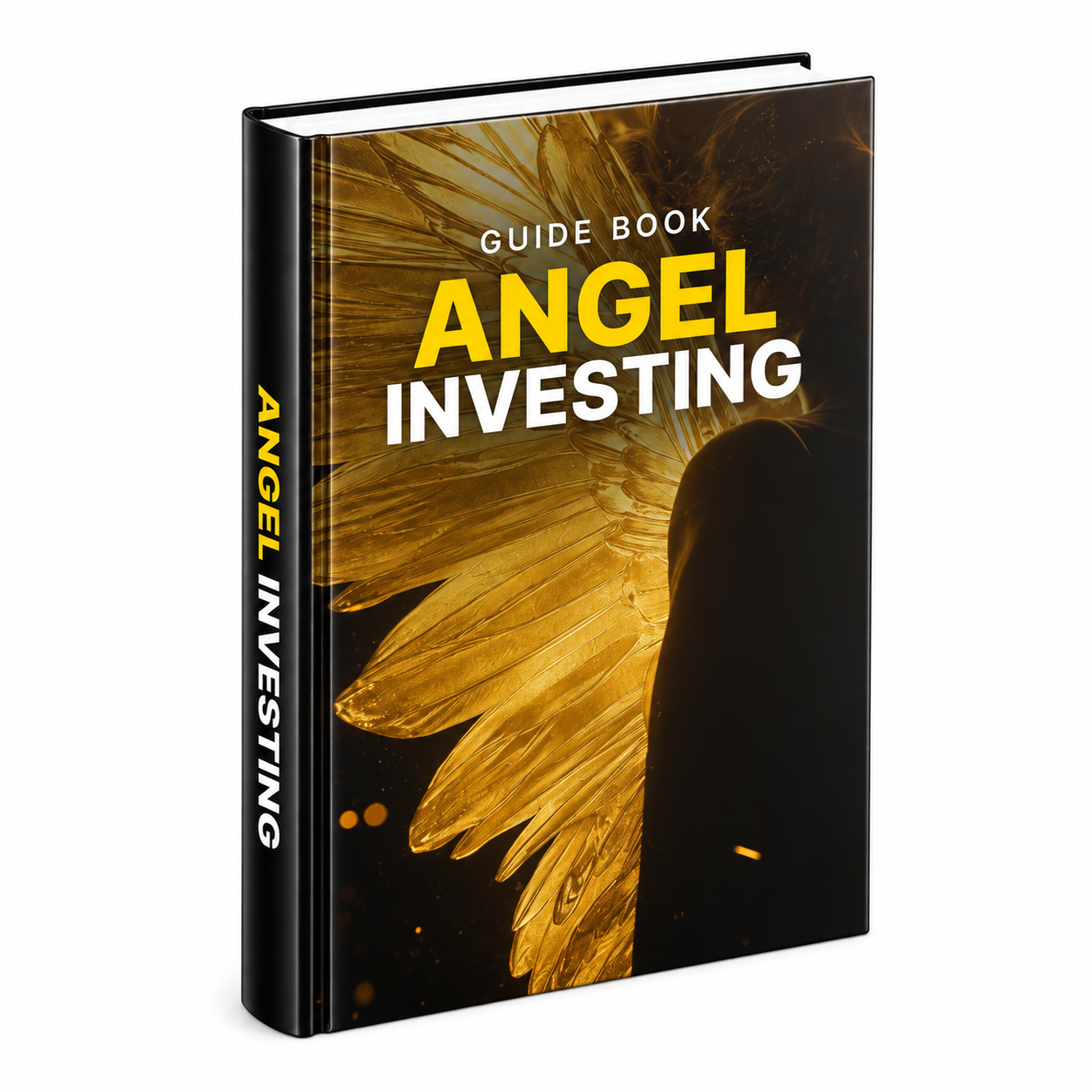 Angel Investing guide cover
