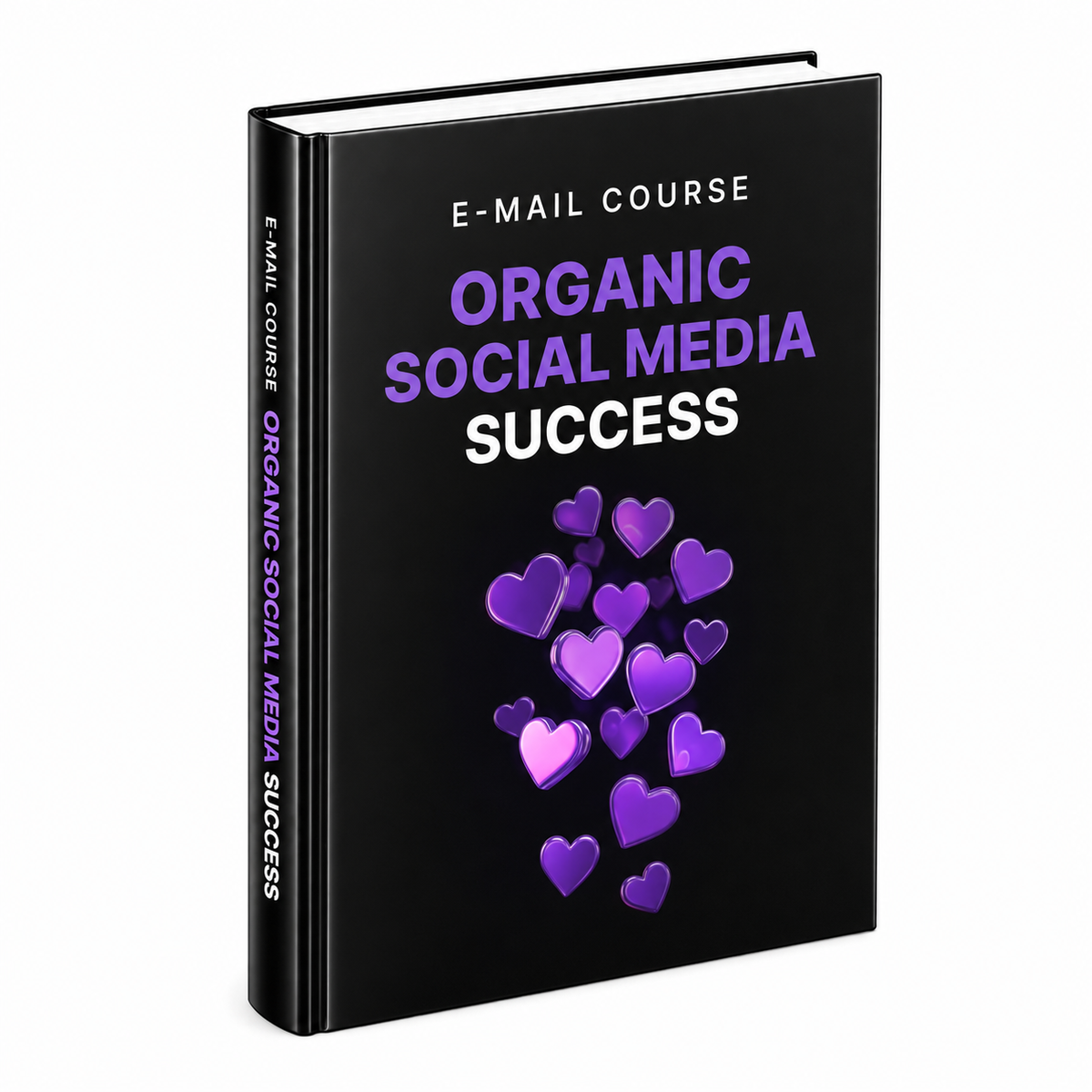 Organic Social Media Success