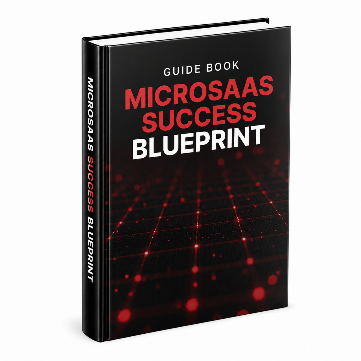 MicroSaaS Success Blueprint - Guide
