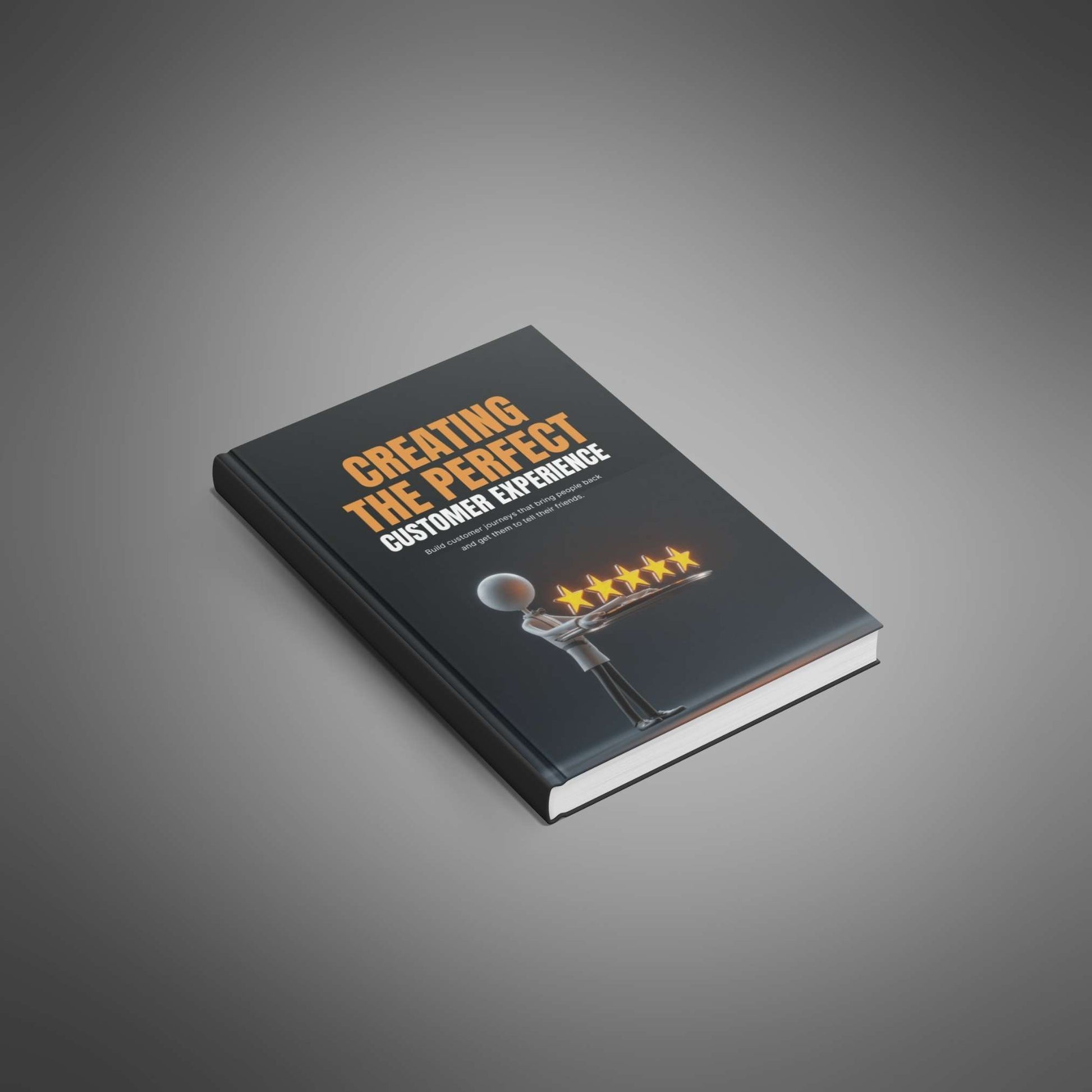 Creating the Perfect Customer Experience