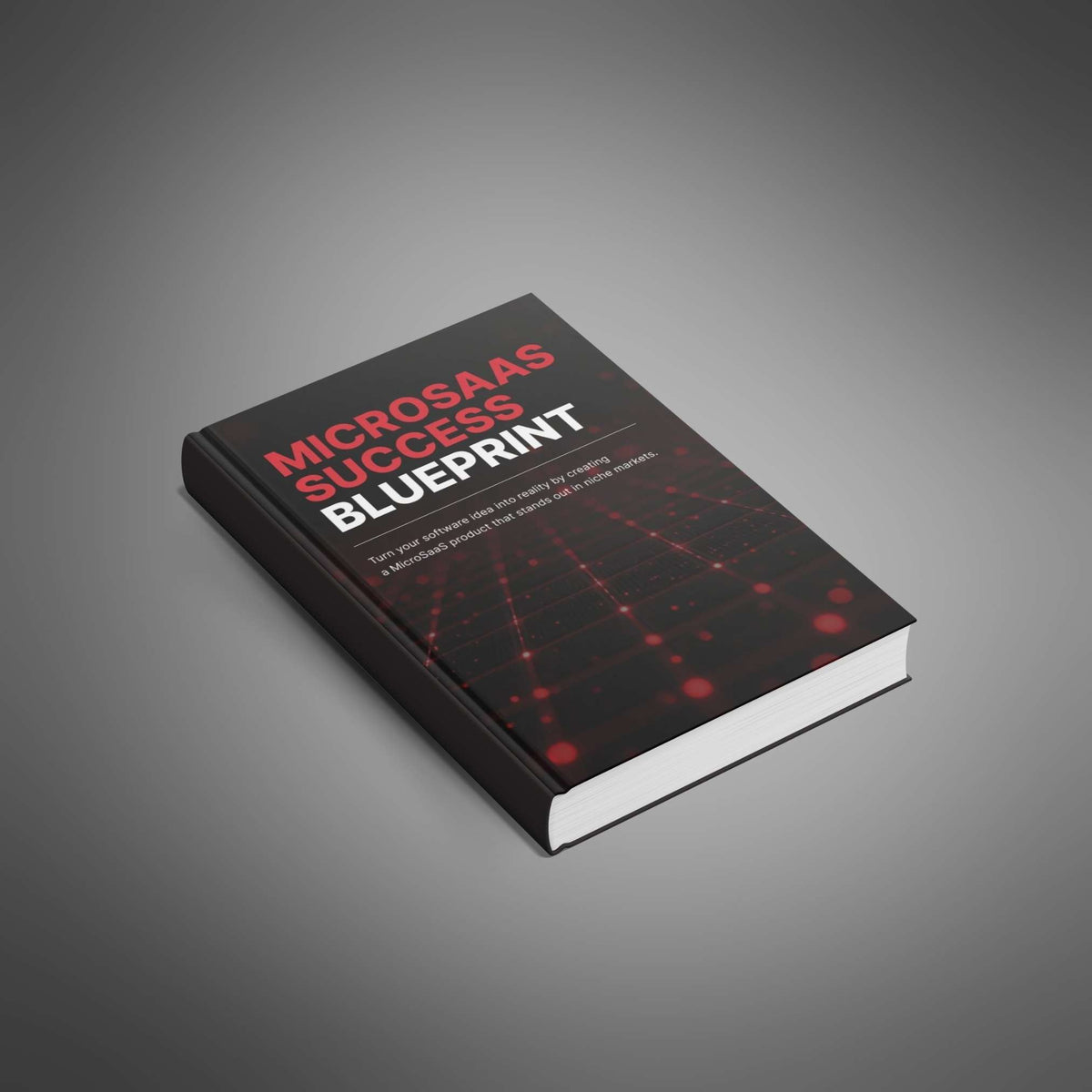 MicroSaaS Success Blueprint - SuitYou life skills guide