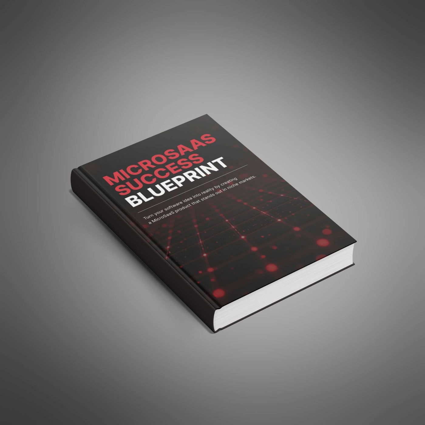 MicroSaaS Success Blueprint - SuitYou life skills guide