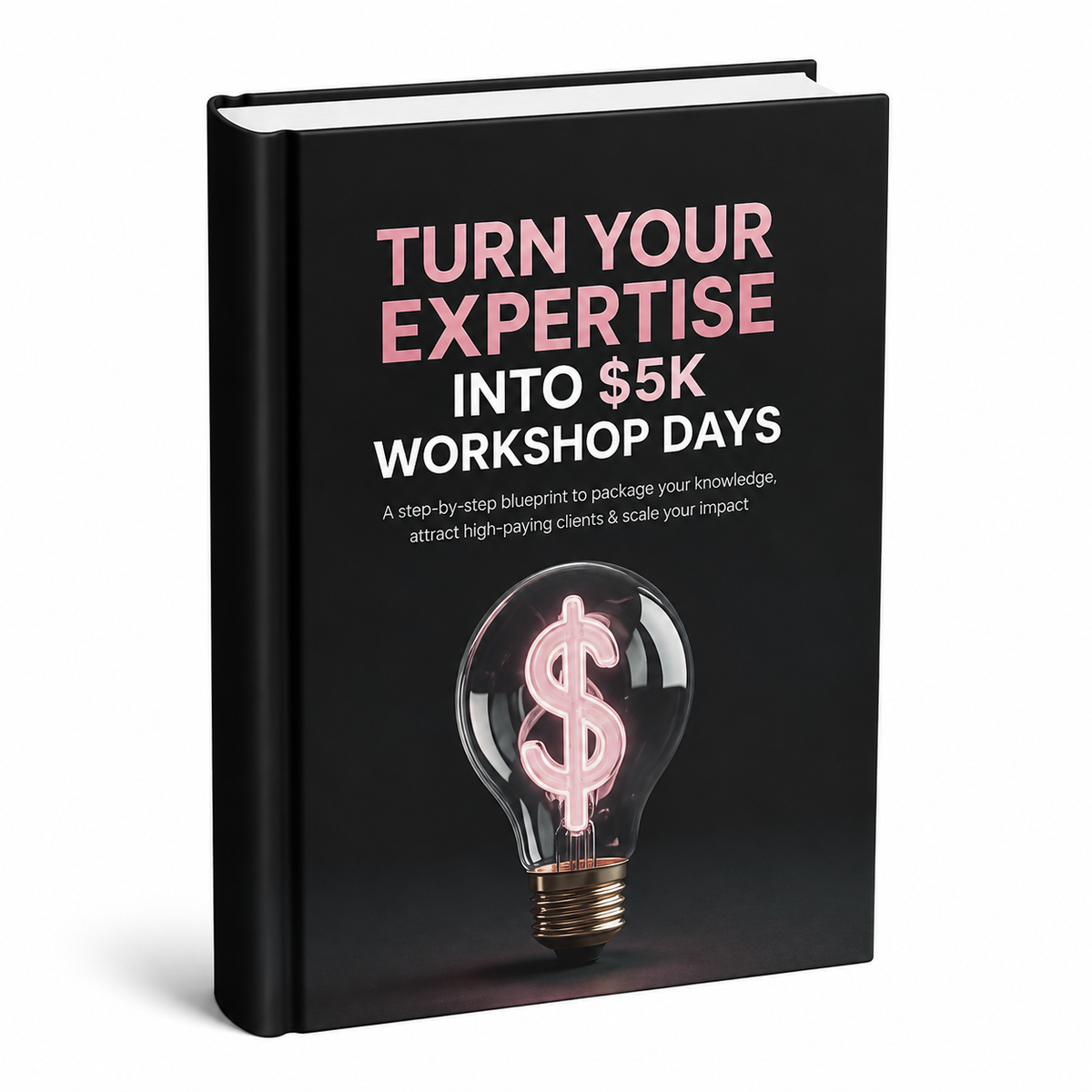 Turn Your Expertise Into $5K Workshop Days