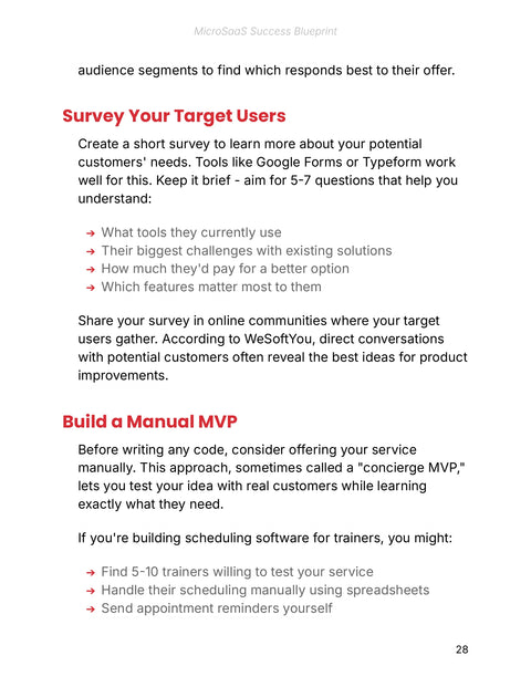 Test with Surveys and a Manual MVP - practice sample from MicroSaaS Success Blueprint - Ebook