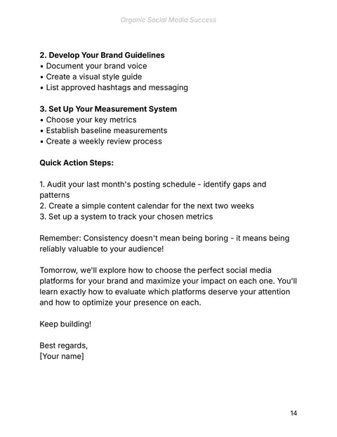 3. Set Up Your Measurement System - framework sample from Organic Social Media Success