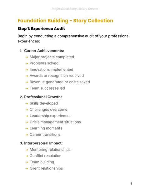 Audit Professional Experiences - understand sample from Professional Story Portfolio Creator