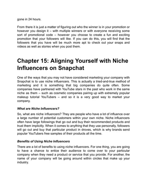 Understand Niche Influencer Partnerships - understand sample from Snapchat Traffic Booster