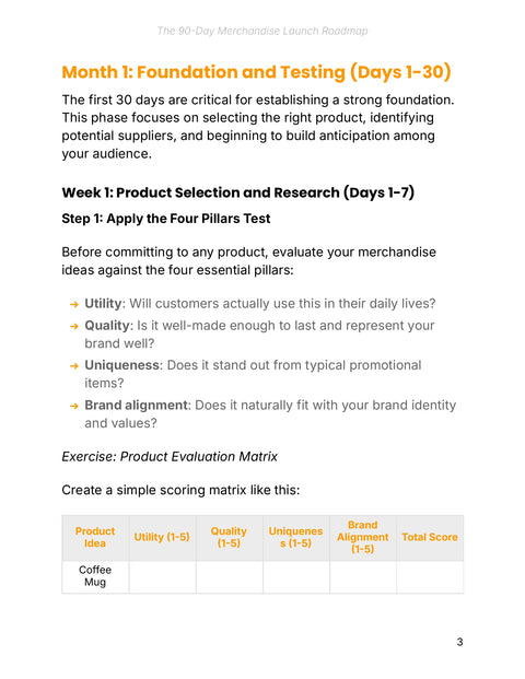 Month 1: Foundation and Testing (Days 1-30) - understand sample from The 90-Day Merchandise Launch Plan