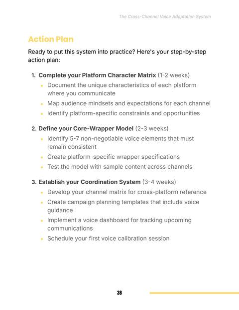 Action Plan - act sample from The Cross-Channel Voice Adaptation System